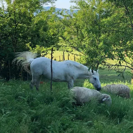 Séjour à la campagne Ala Di Maniero In Valdrago In Toscana, Nel Mugello Sulle Colline Di Firenze Autodromo Mugello Circuit *